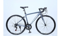 Xe đạp FORNIX-FR100