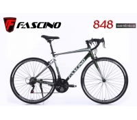Xe đạp FASCNIO 848
