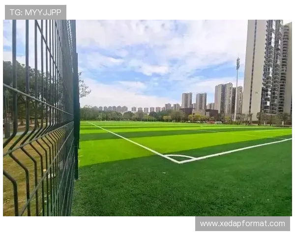大发娱乐在线登录入口安全稳定，便捷快速助你畅享精彩游戏体验